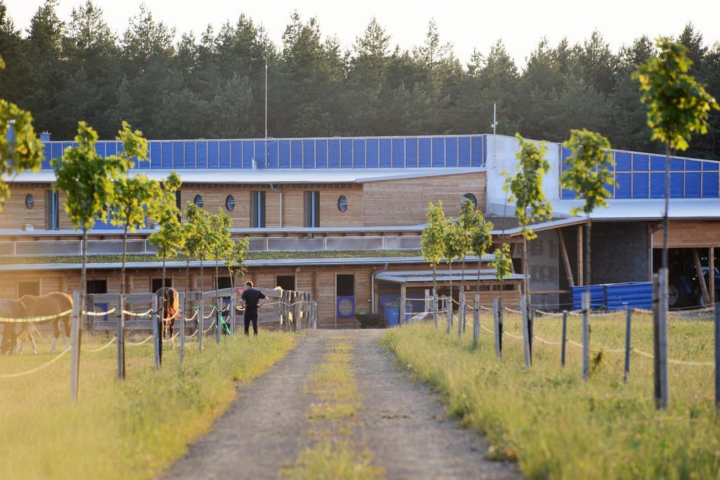 Farma Noe Casa de hóspedes Brezina  Exterior foto